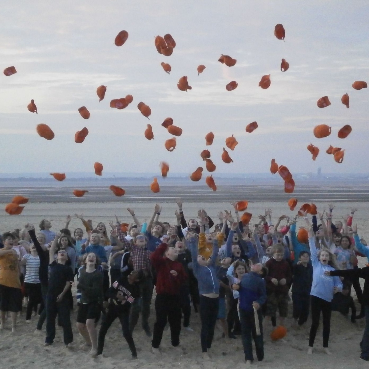 Woodlands junior school science homework image